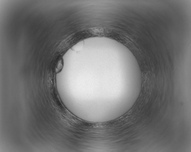 X0000058800702200509300914