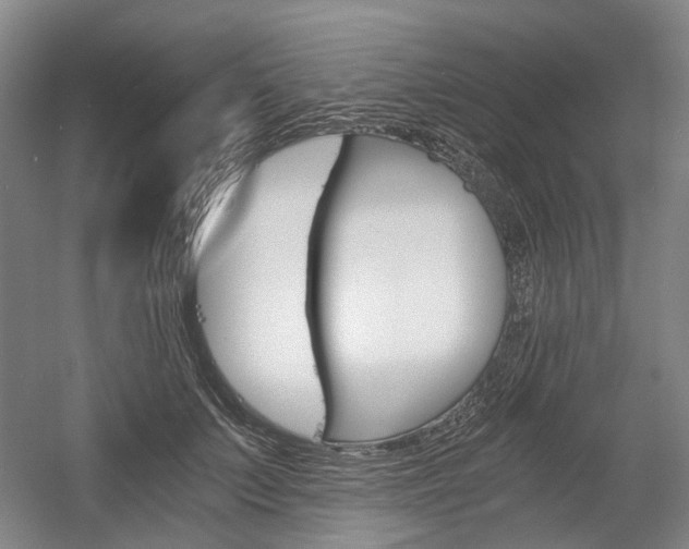 X0000058800703200509300914