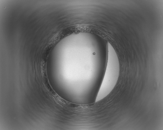 X0000058800712200509300914