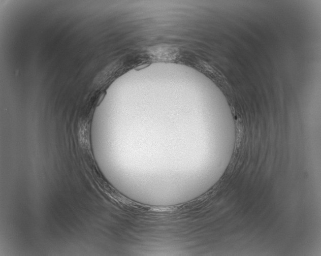 X0000058800713200509300914