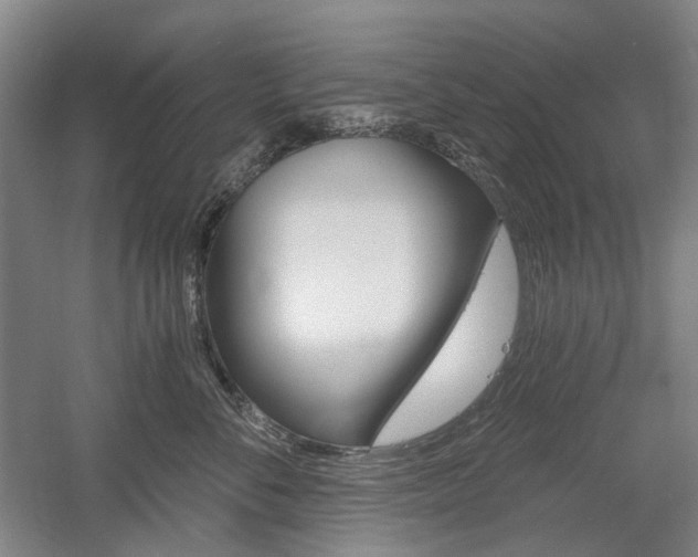 X0000058800716200509300914