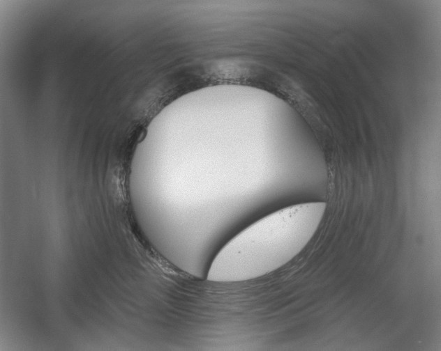 X0000058800718200509300914