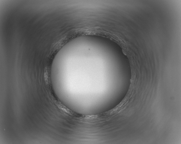 X0000058800720200509300914