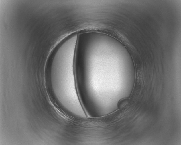 X0000058800722200509300913