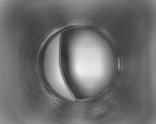 X0000058800723200509300913