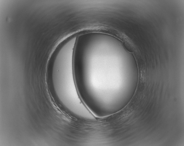X0000058800724200509300913