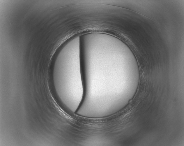 X0000058800725200509300913