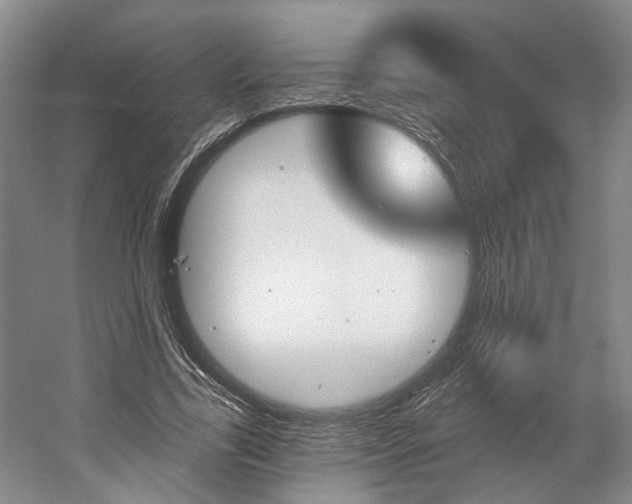 X0000058800731200509300913