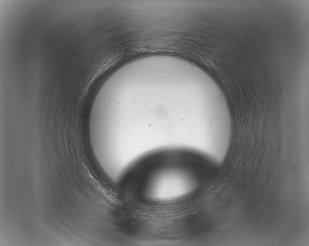 X0000058800735200509300913