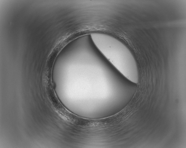 X0000058800736200509300913
