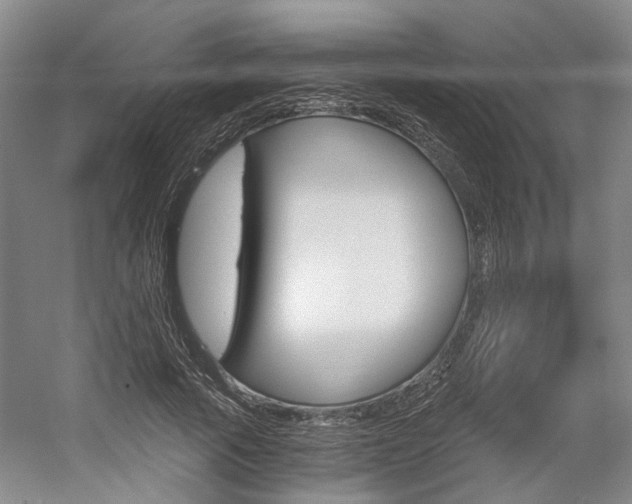X0000058800737200509300913