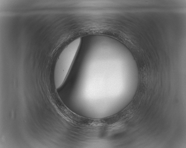 X0000058800742200509300913