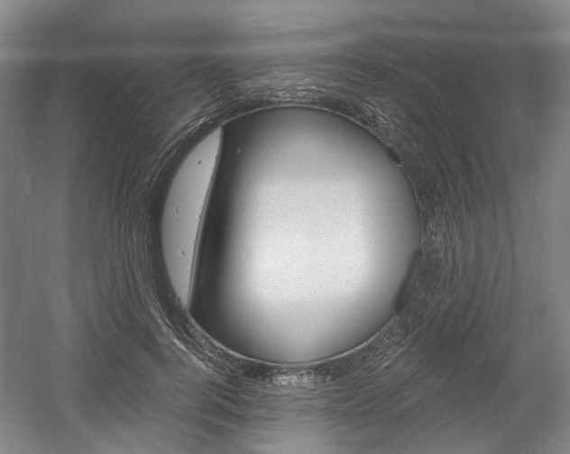 X0000058800744200509300914