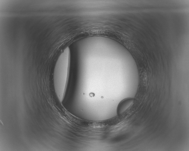 X0000058800746200509300914