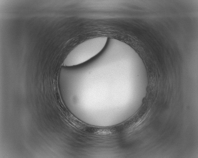 X0000058800749200509300914
