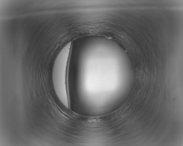X0000058800752200509300914