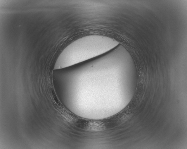 X0000058800753200509300914
