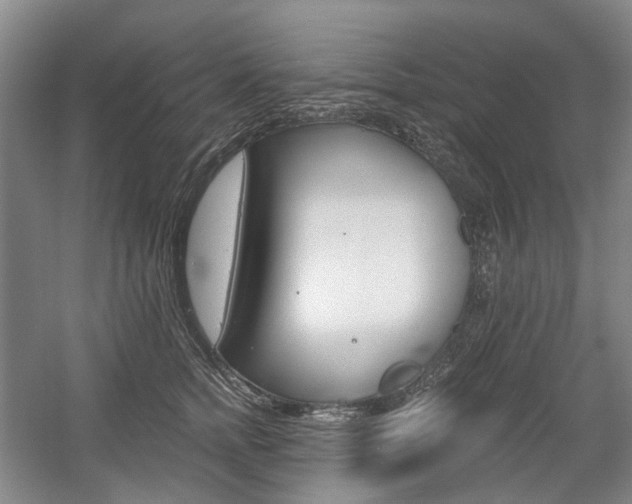 X0000058800758200509300914