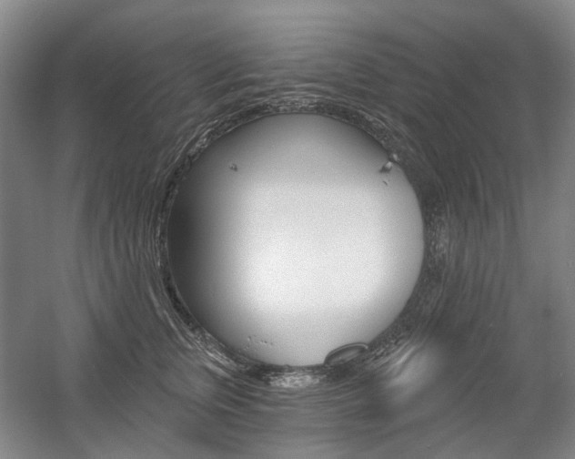 X0000058800759200509300914