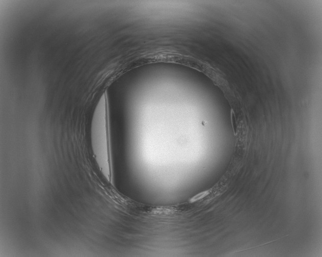 X0000058800762200509300914