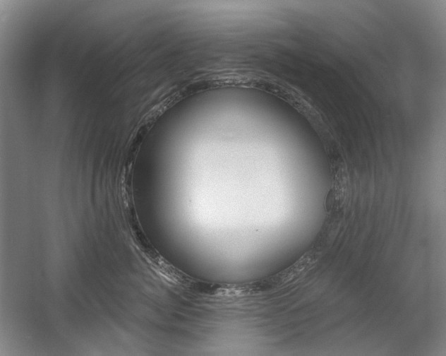 X0000058800764200509300914