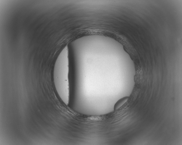 X0000058800765200509300914