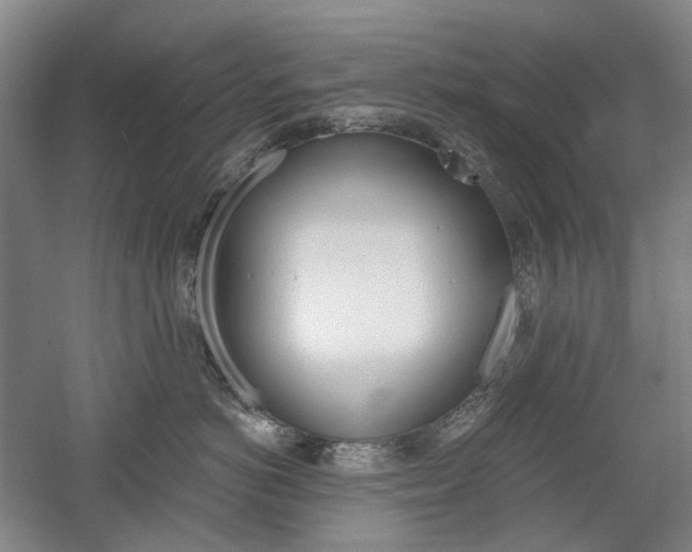 X0000058800766200509300914