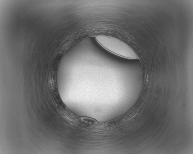X0000058800771200509300913
