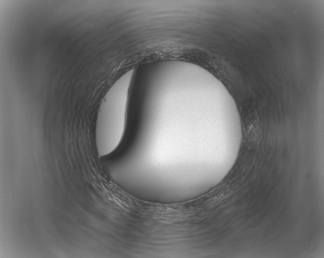 X0000058800772200509300913
