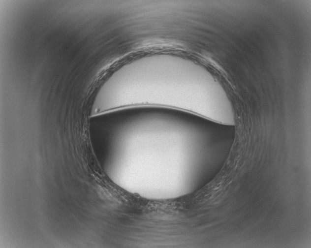 X0000058800775200509300913