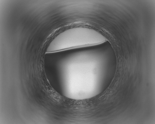 X0000058800776200509300913
