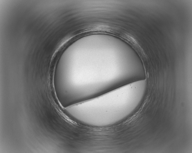 X0000058800780200509300913