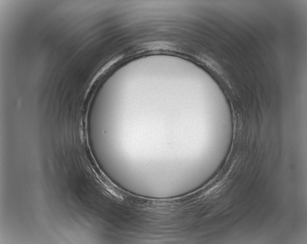 X0000058800782200509300913