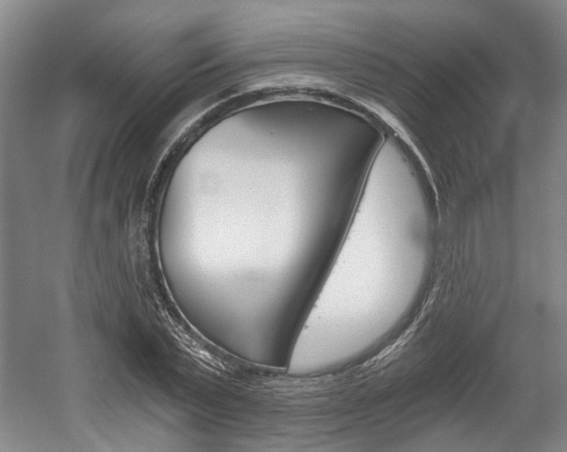 X0000058800783200509300913
