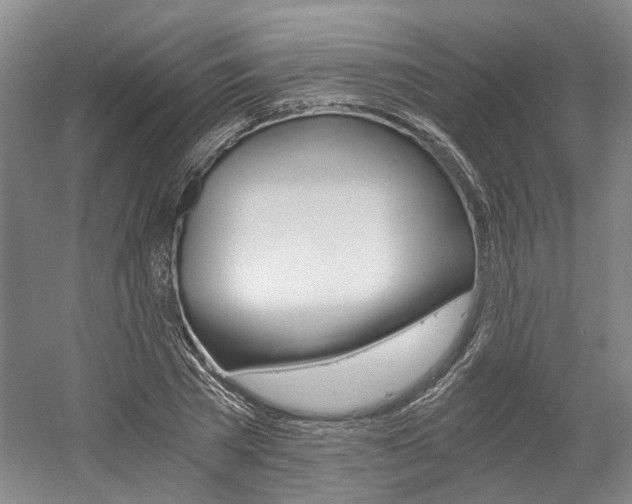 X0000058800785200509300913