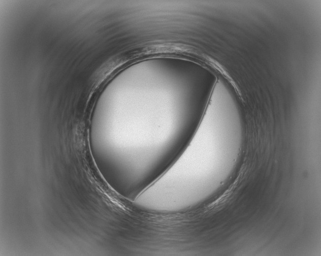 X0000058800786200509300913