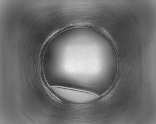 X0000058800787200509300913