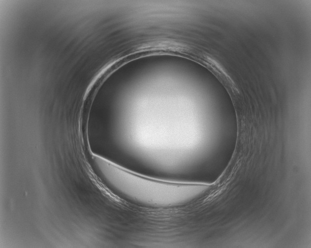 X0000058800788200509300913