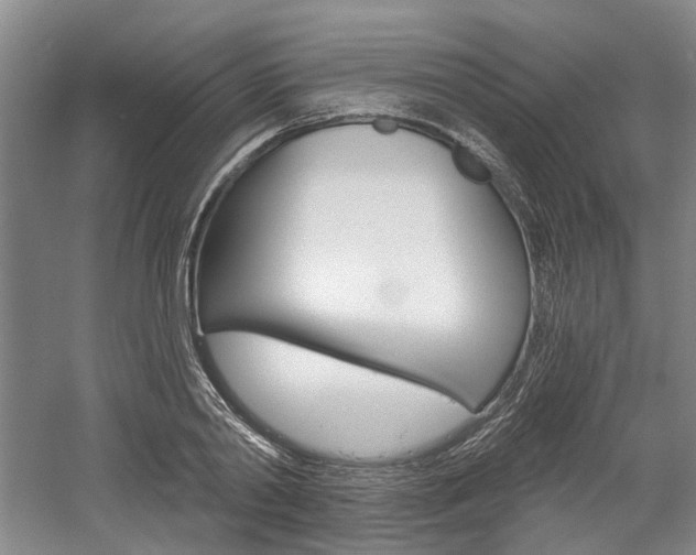 X0000058800790200509300913