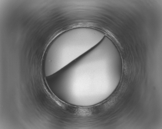 X0000058800794200509300913