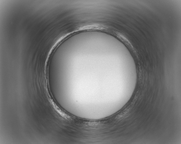 X0000058800800200509300913