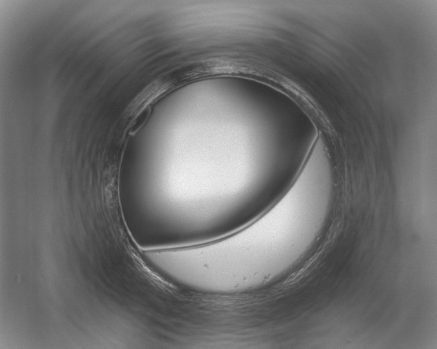 X0000058800801200509300913