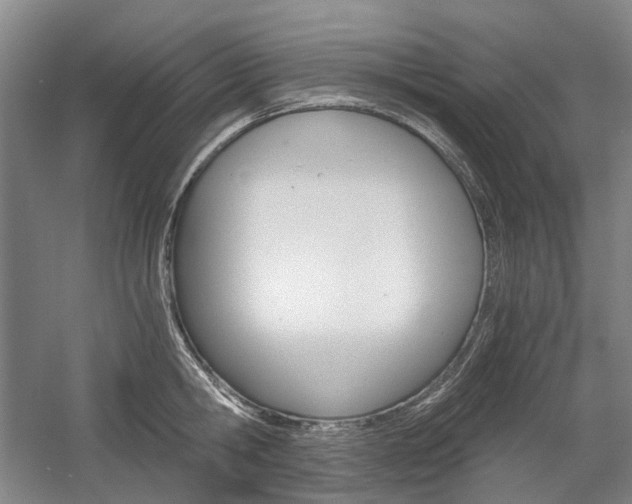 X0000058800806200509300912