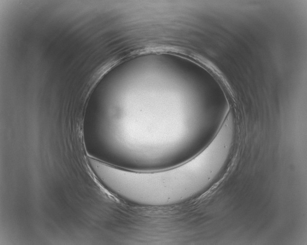 X0000058800809200509300912