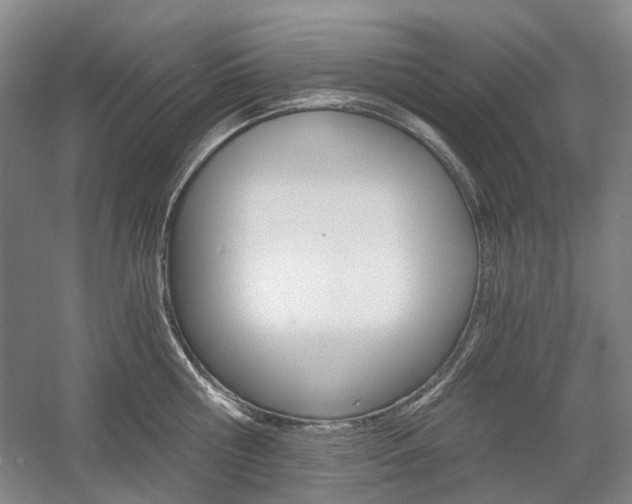 X0000058800810200509300912