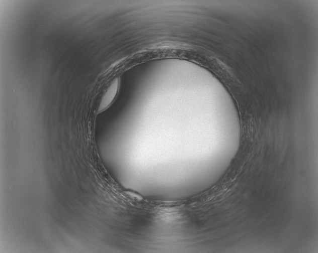 X0000058800821200509300912