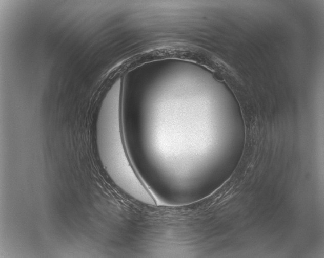 X0000058800822200509300912