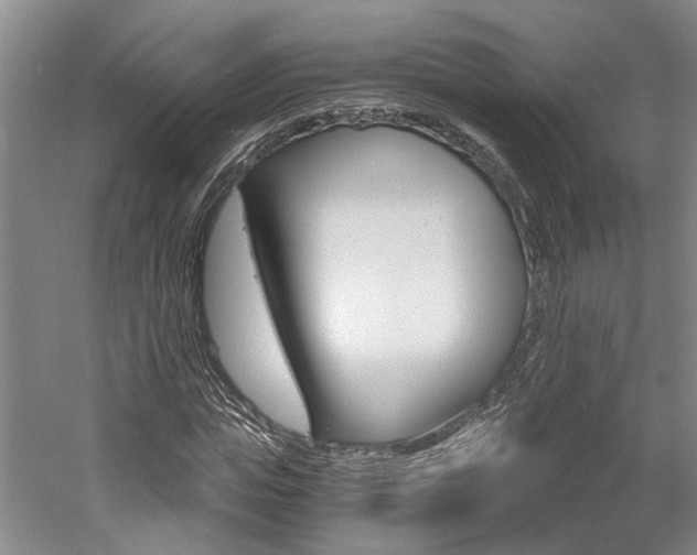 X0000058800823200509300912