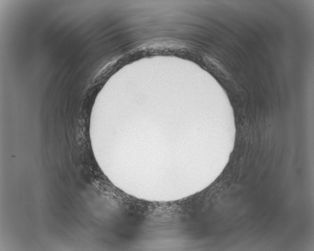 X0000058800824200509300912