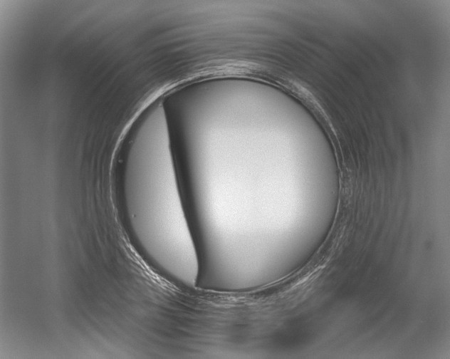 X0000058800835200509300912